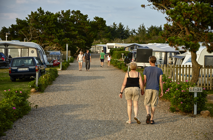 Livsnyder Campingplads