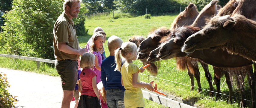 Givskud Zoo